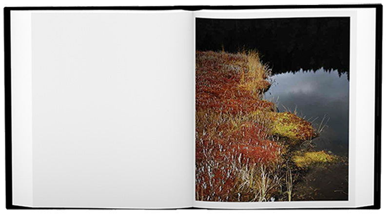 Jh Engström: Tout Va Bien (signed edition)
