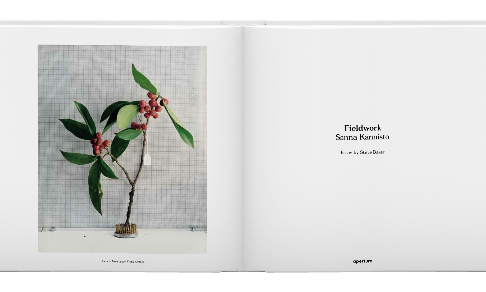 Sanna Kannisto: Fieldwork (signed edition)