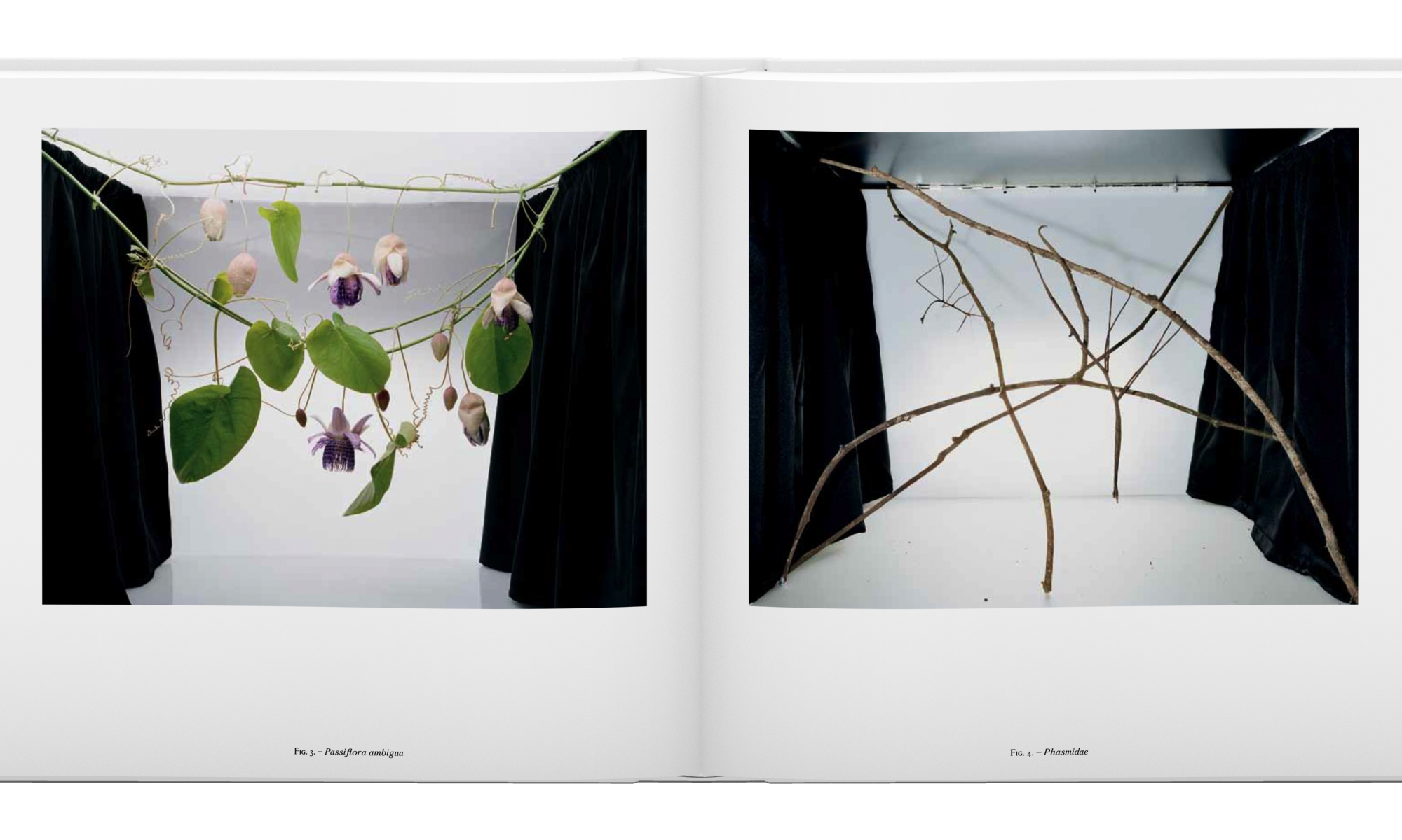 Sanna Kannisto: Fieldwork (signed edition)