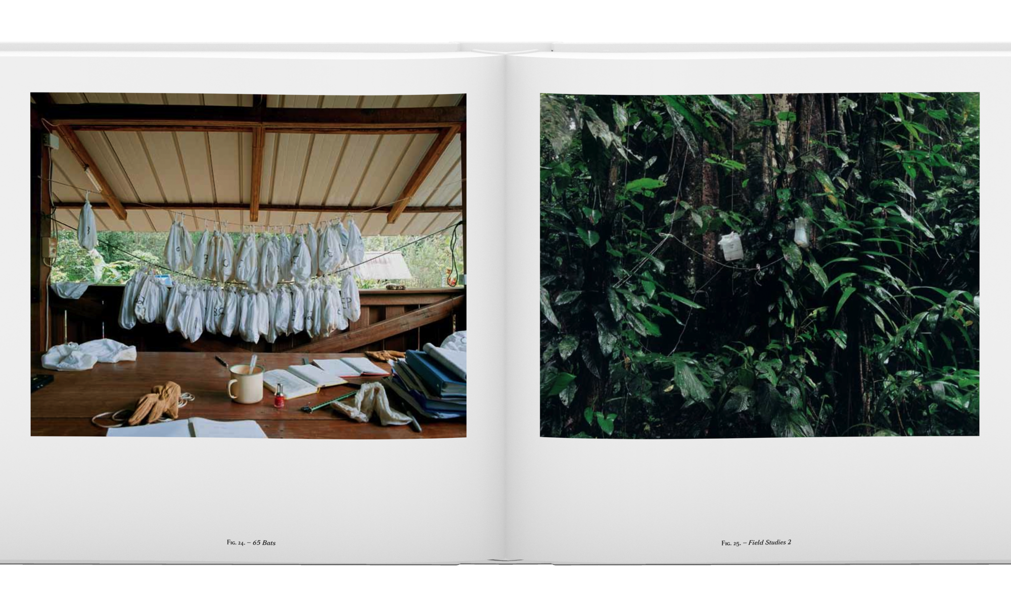 Sanna Kannisto: Fieldwork (signed edition)