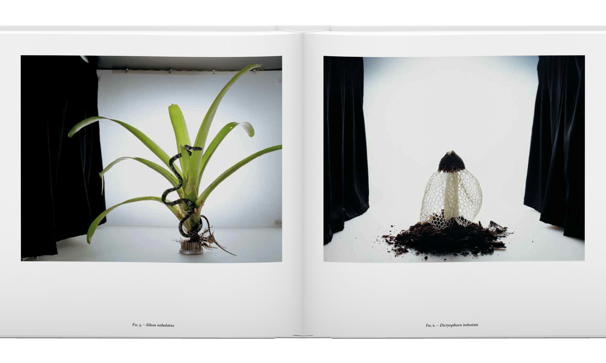 Sanna Kannisto: Fieldwork (signed edition)