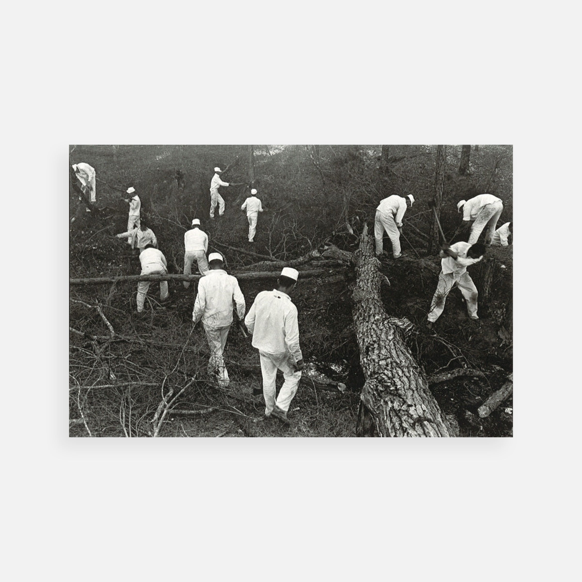 Danny Lyon: Pictures from the New World: Ellis Unit, 1968