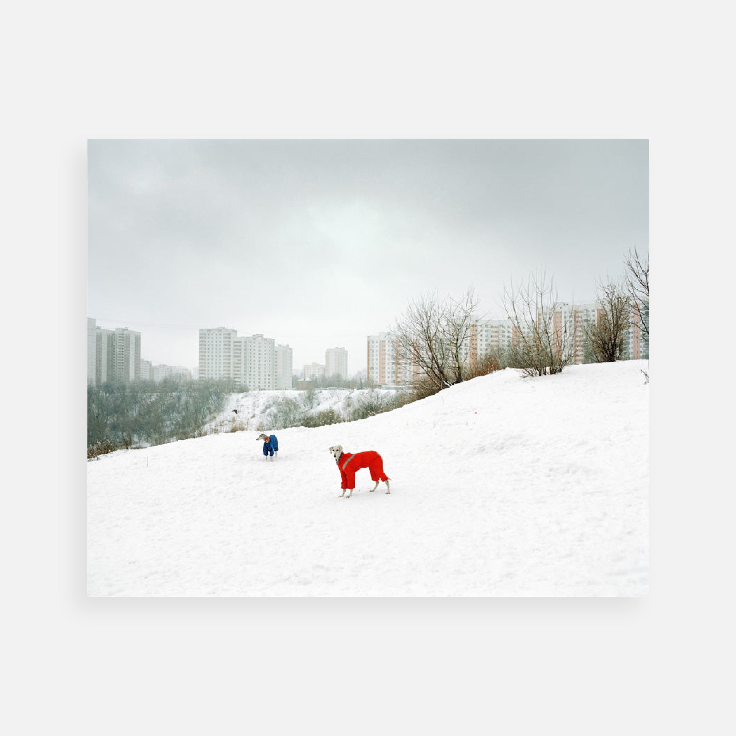 Alexander Gronsky: Untitled, from the series The Edge, 2009
