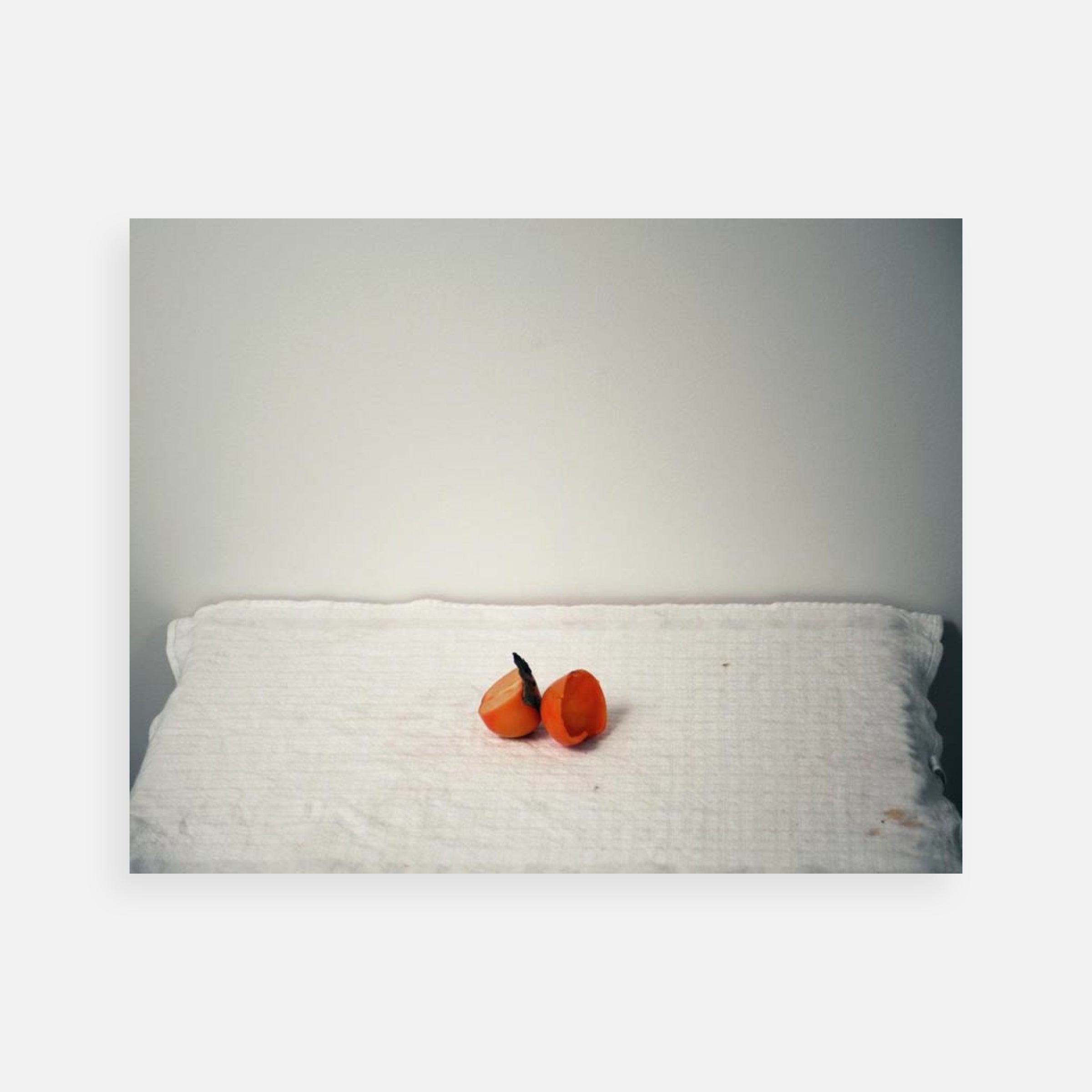 Shen Wei: Half Persimmon, 2009