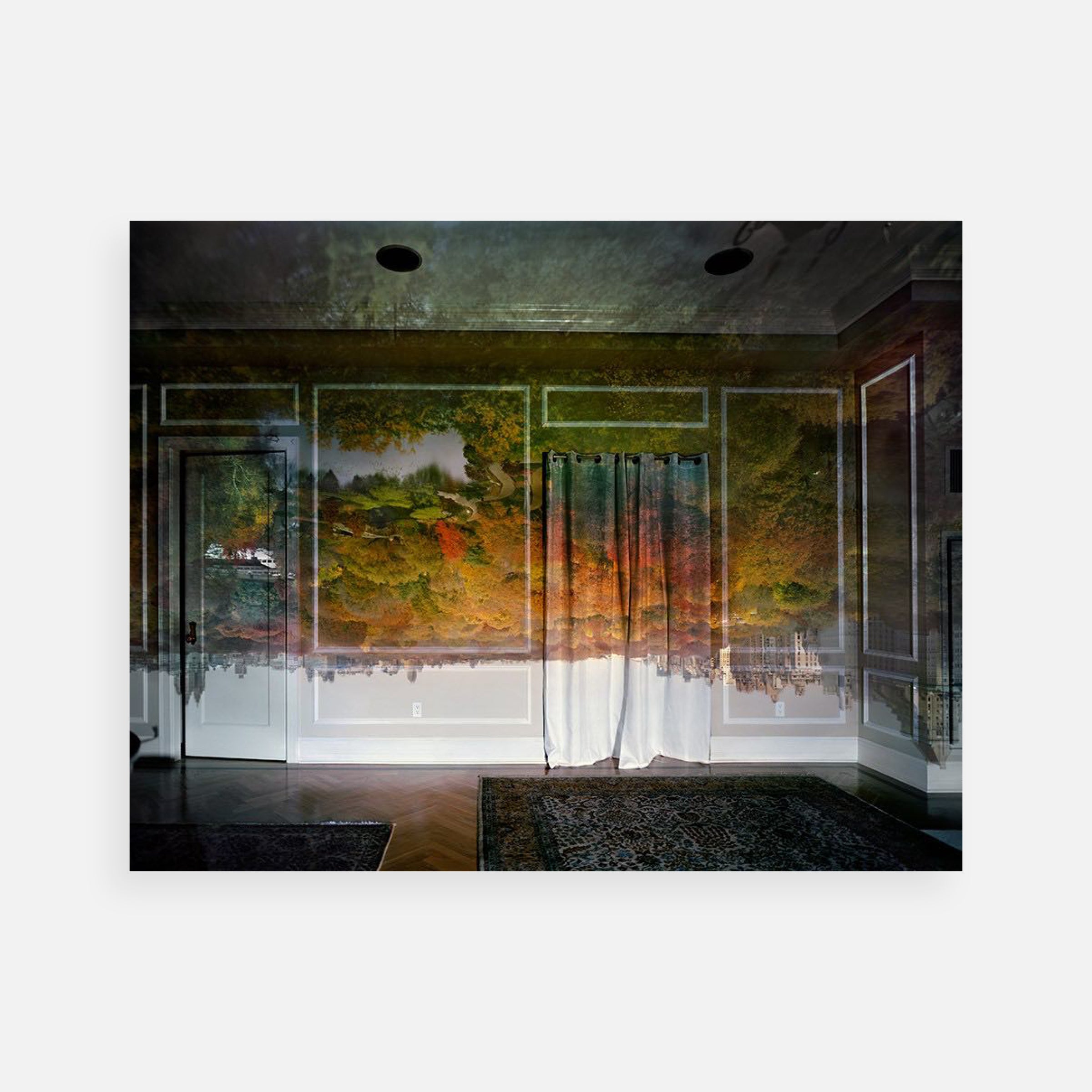 Abelardo Morell: View of Central Park Looking North, Fall, 2008