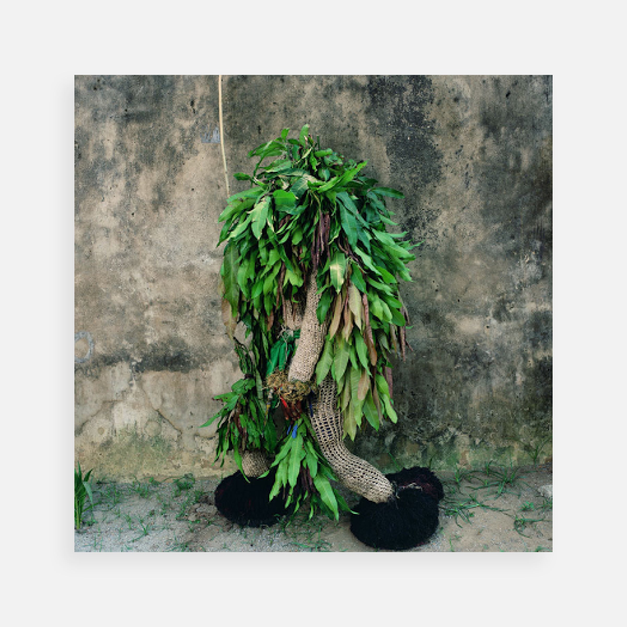 Phyllis Galembo: Minor Ekpe Masquerade with Mango Leaves, Calabar South, Nigeria, 2005