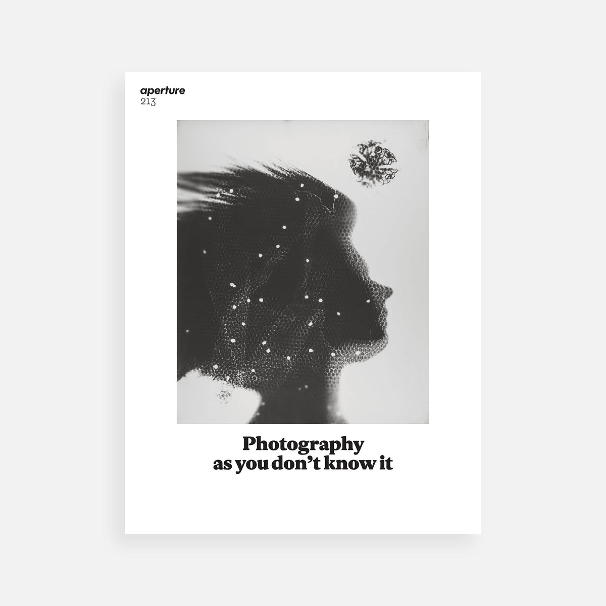 Photography as you don’t know it: Aperture 213, Winter 2013