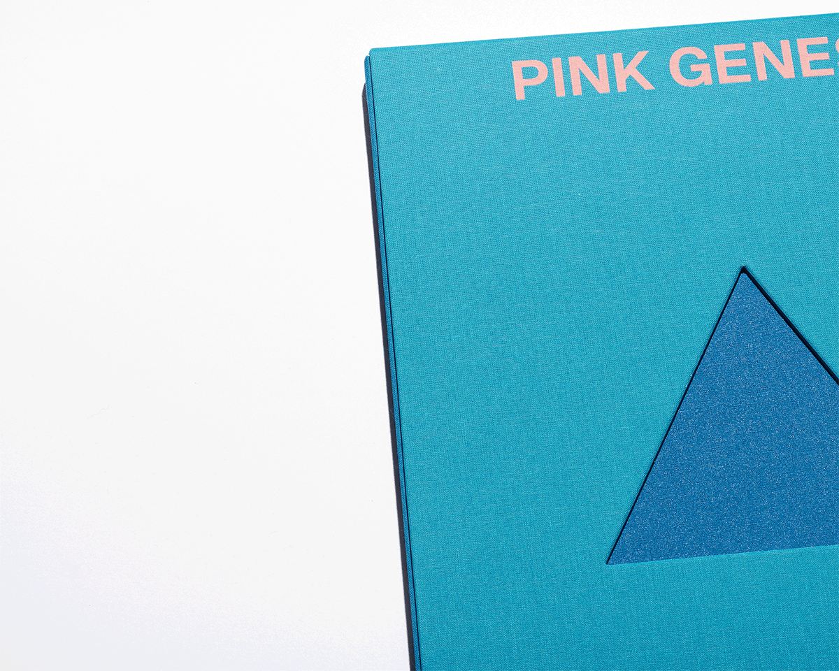 David Benjamin Sherry: Pink Genesis