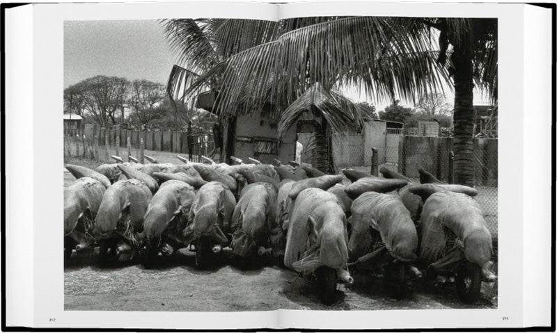 Sebastião Salgado: Workers