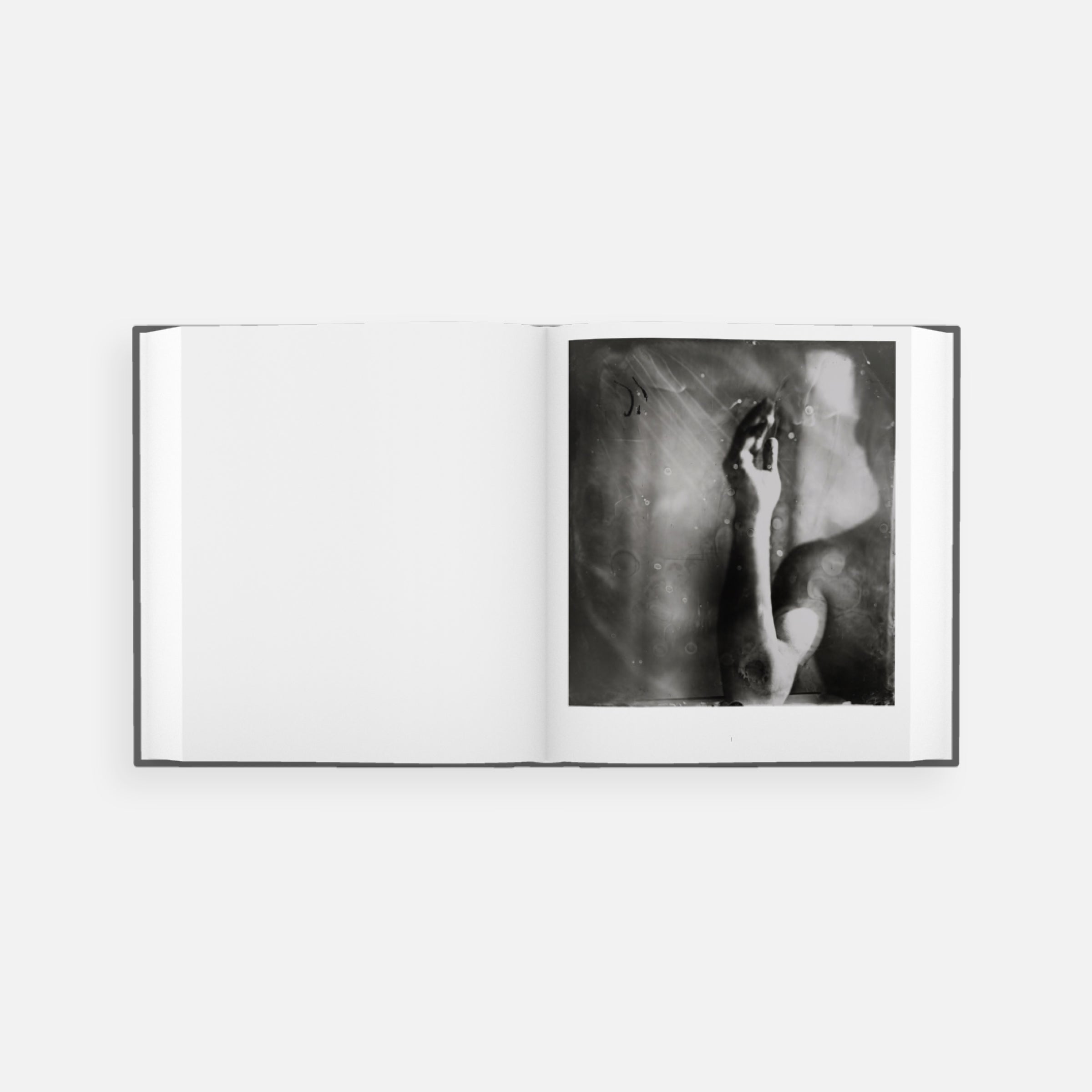 Sally Mann: Proud Flesh