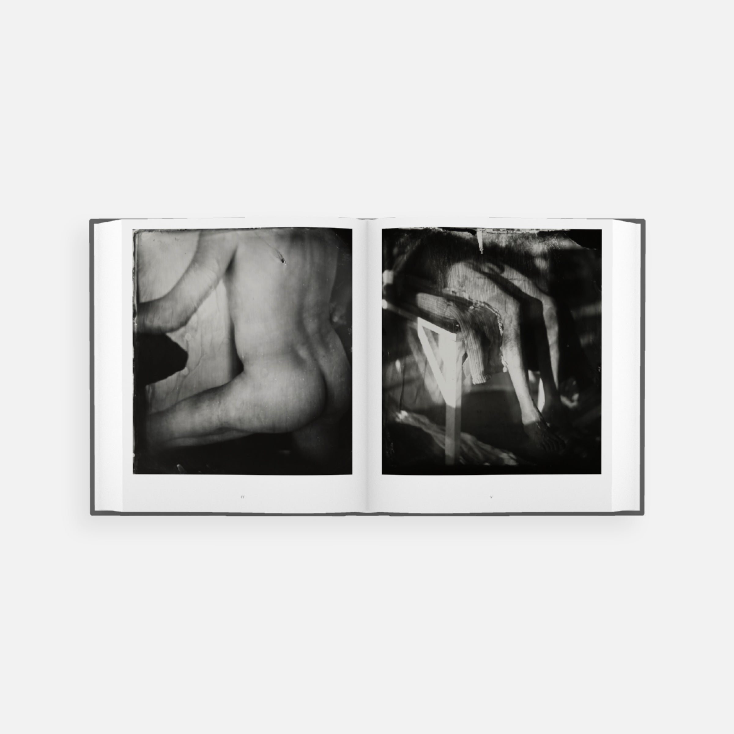 Sally Mann: Proud Flesh