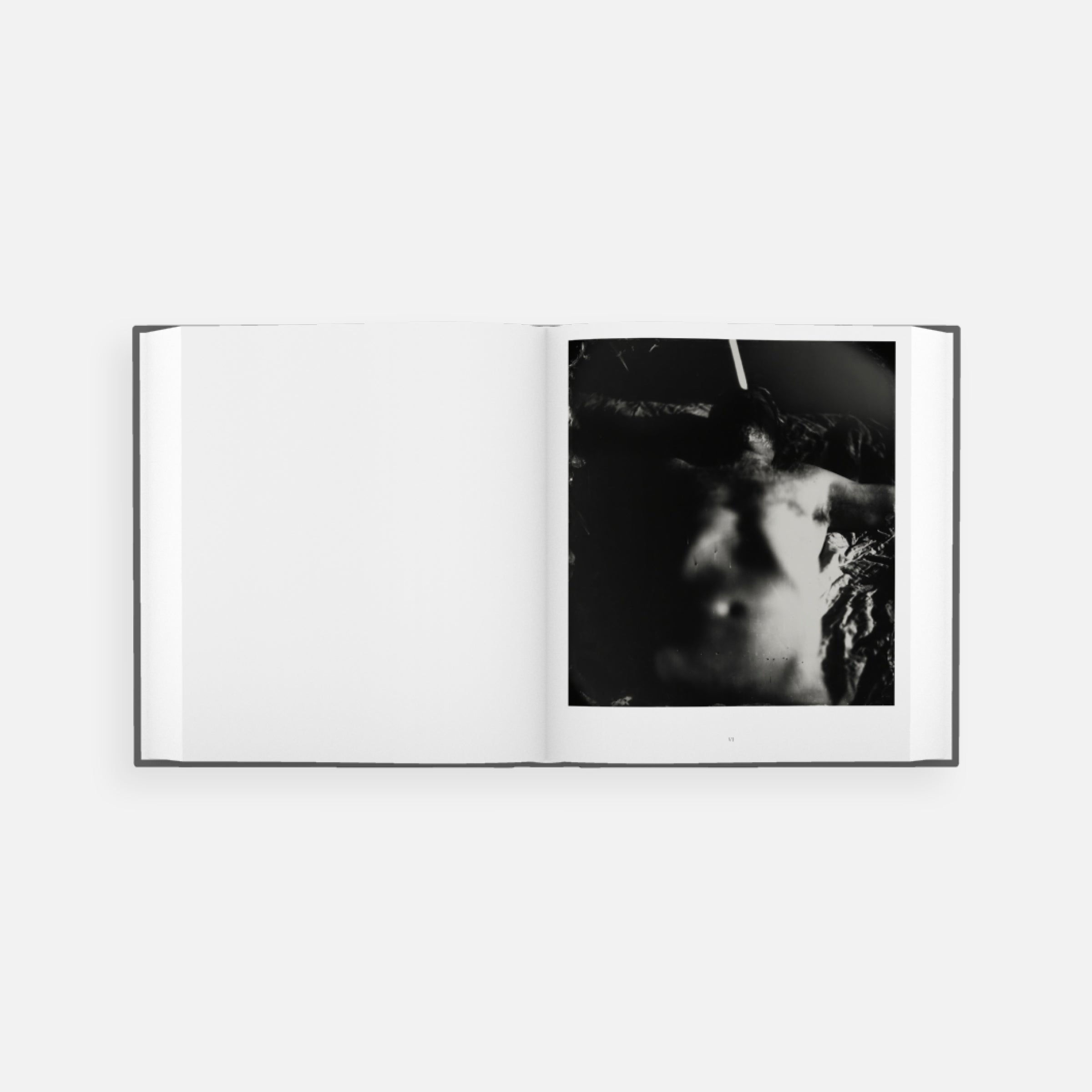 Sally Mann: Proud Flesh