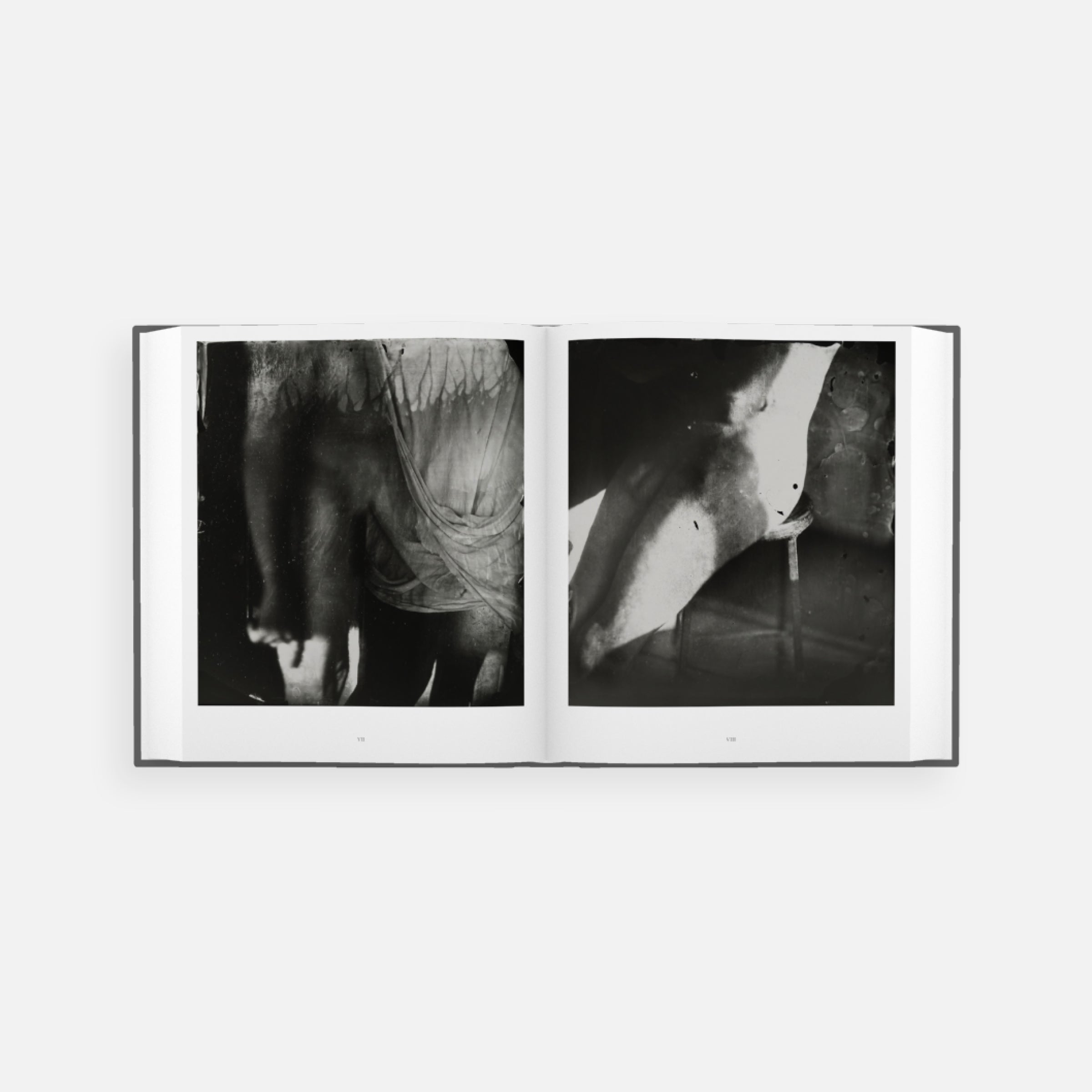 Sally Mann: Proud Flesh