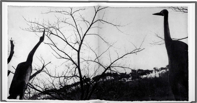 Wind (signed edition)
