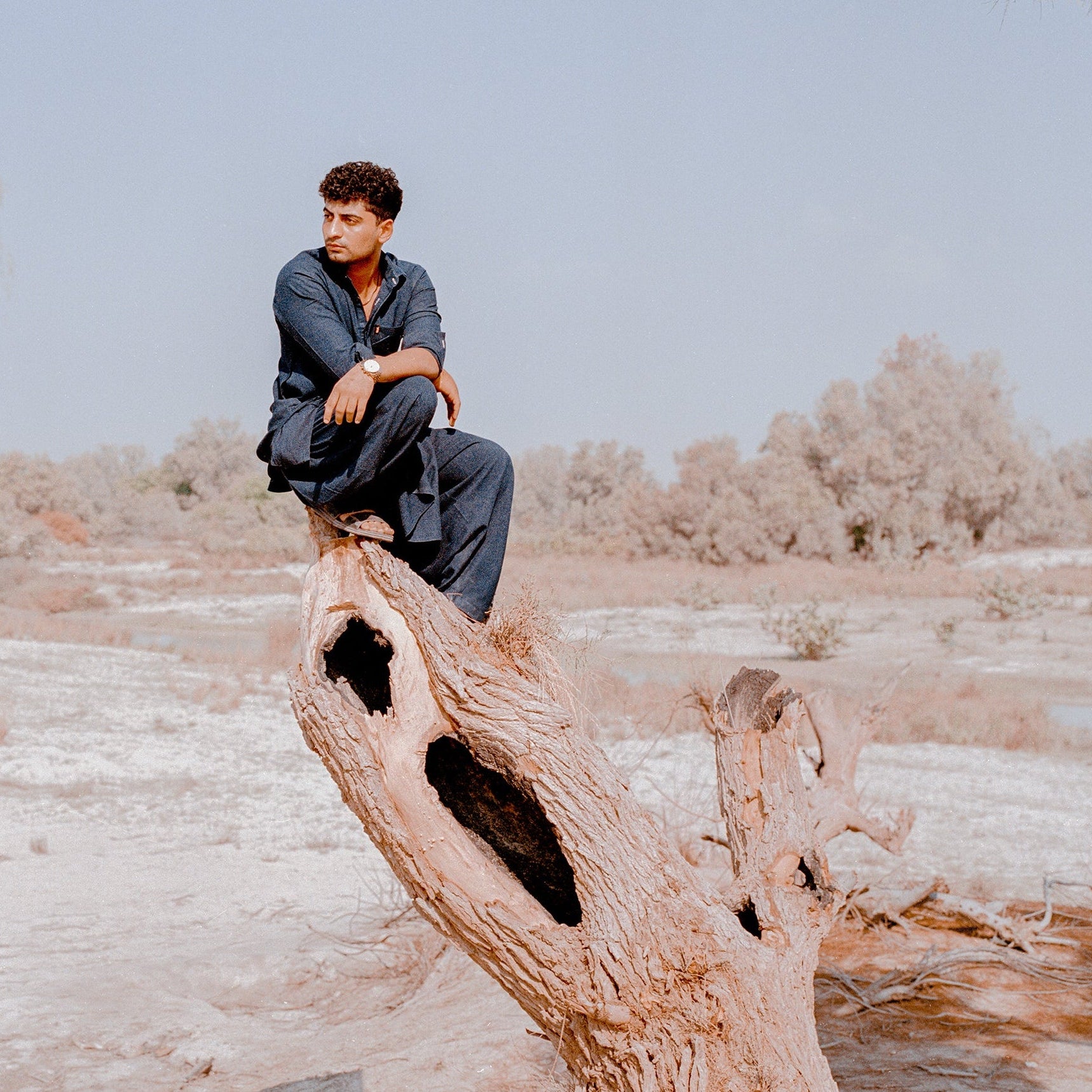 Person sitting on a large tree stump in a desert-like landscape with clear blue sky.