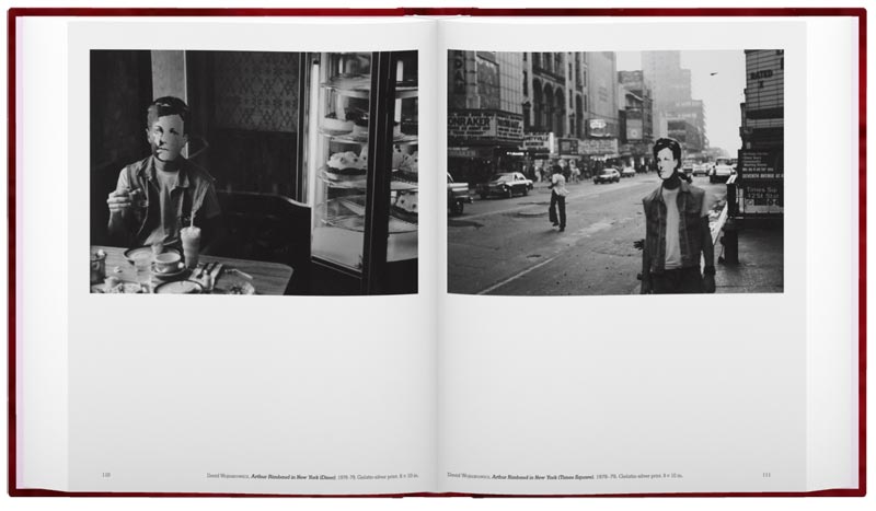 David Wojnarowicz: Brush Fires in the Social Landscape