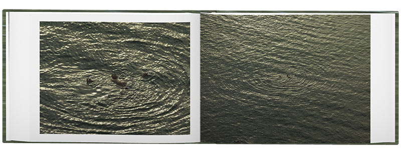 Richard Misrach: The Mysterious Opacity of Other Beings