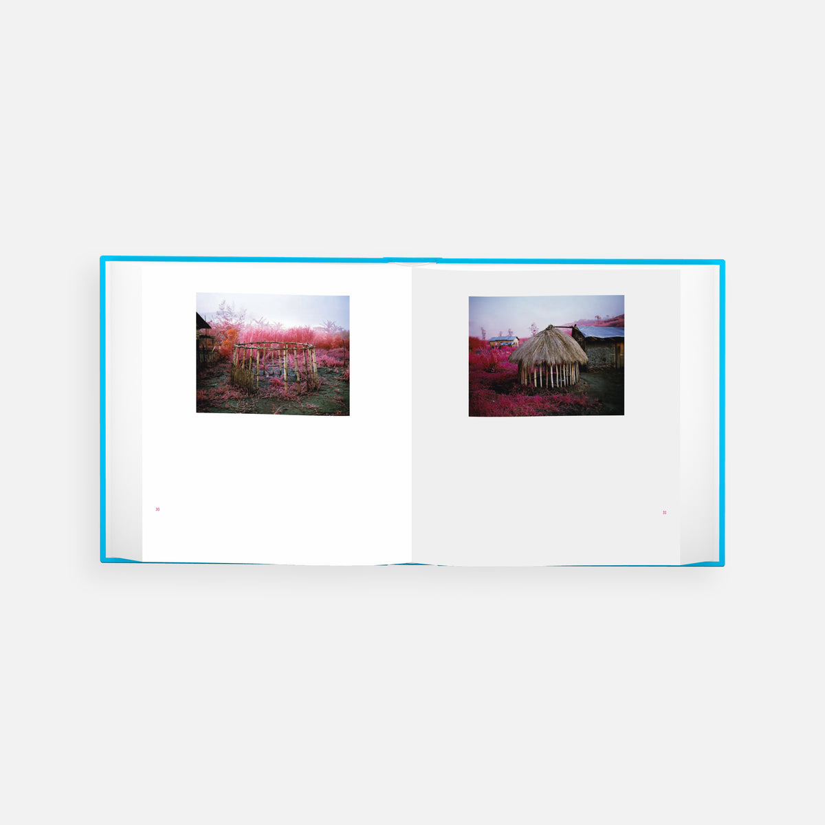 Infra: Photographs by Richard Mosse