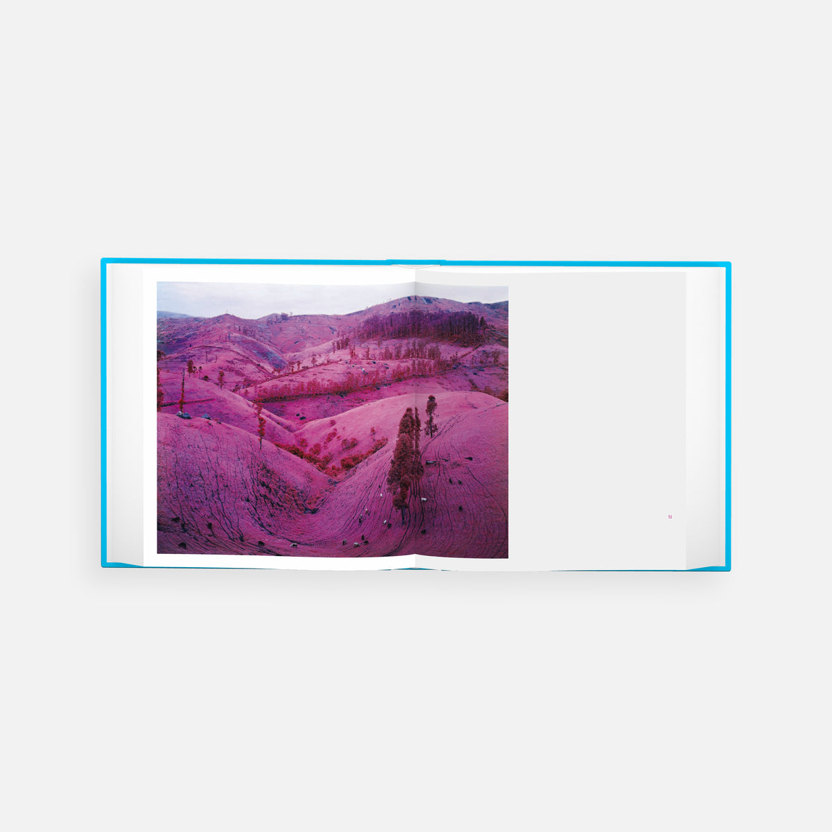 Infra: Photographs by Richard Mosse