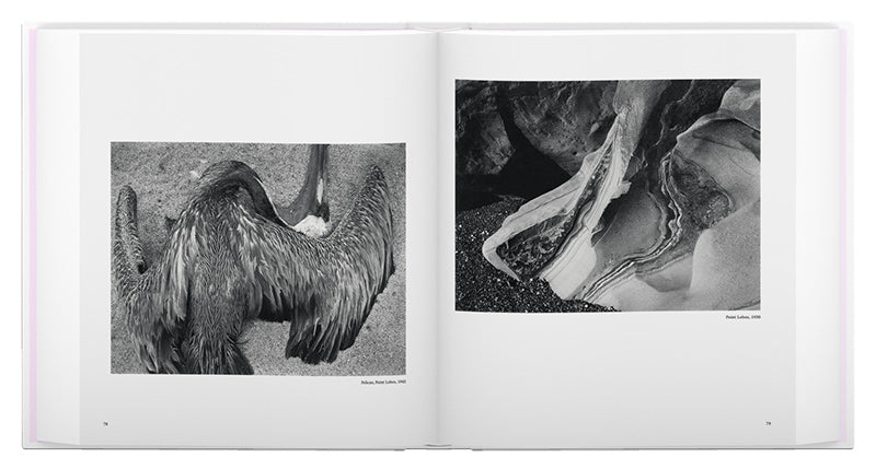 Edward Weston: The Flame of Recognition