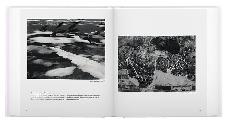 Edward Weston: The Flame of Recognition