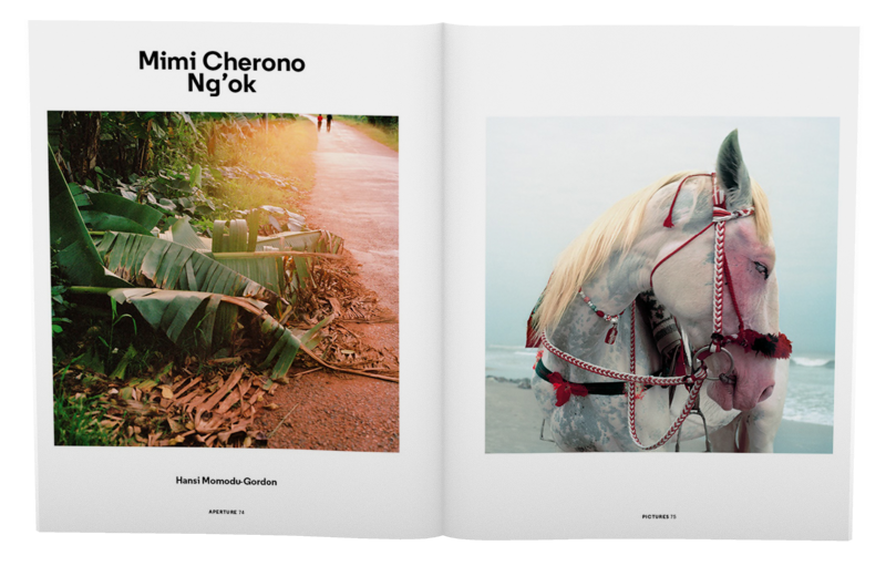 Platform Africa: Aperture 227, Summer 2017