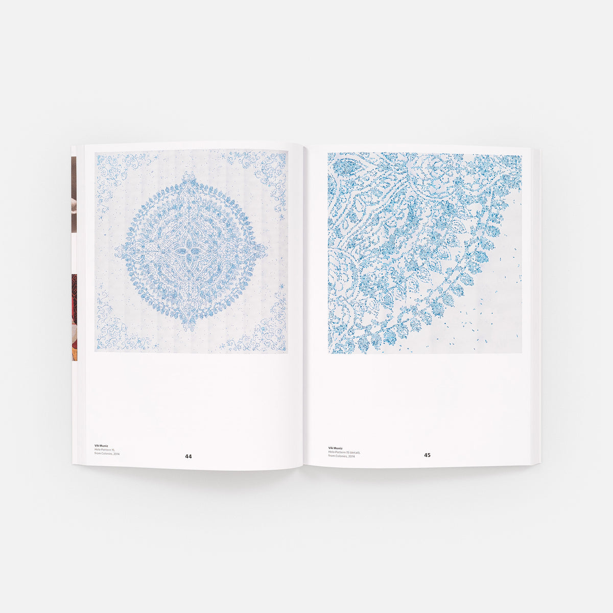 Vik Muniz on Photography, Mind, and Matter (signed edition)