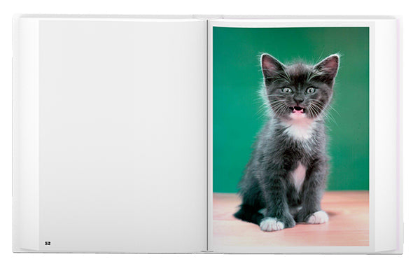 Walter Chandoha: The Cat Photographer