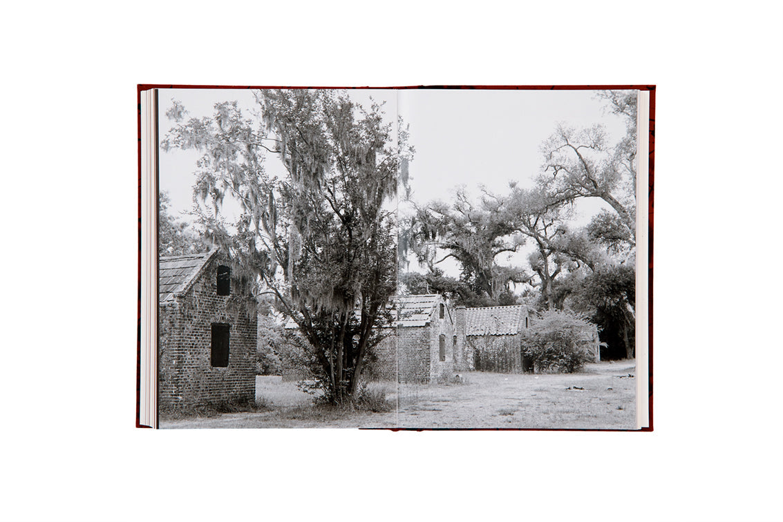 To Make Their Own Way in the World: The Enduring Legacy of the Zealy Daguerreotypes