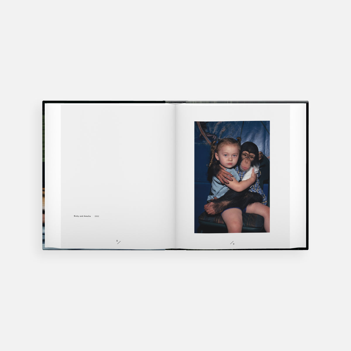 Robin Schwartz: Amelia and the Animals (signed edition)