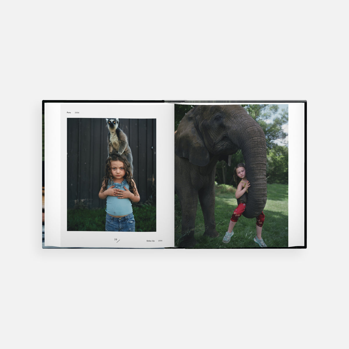 Robin Schwartz: Amelia and the Animals (signed edition)