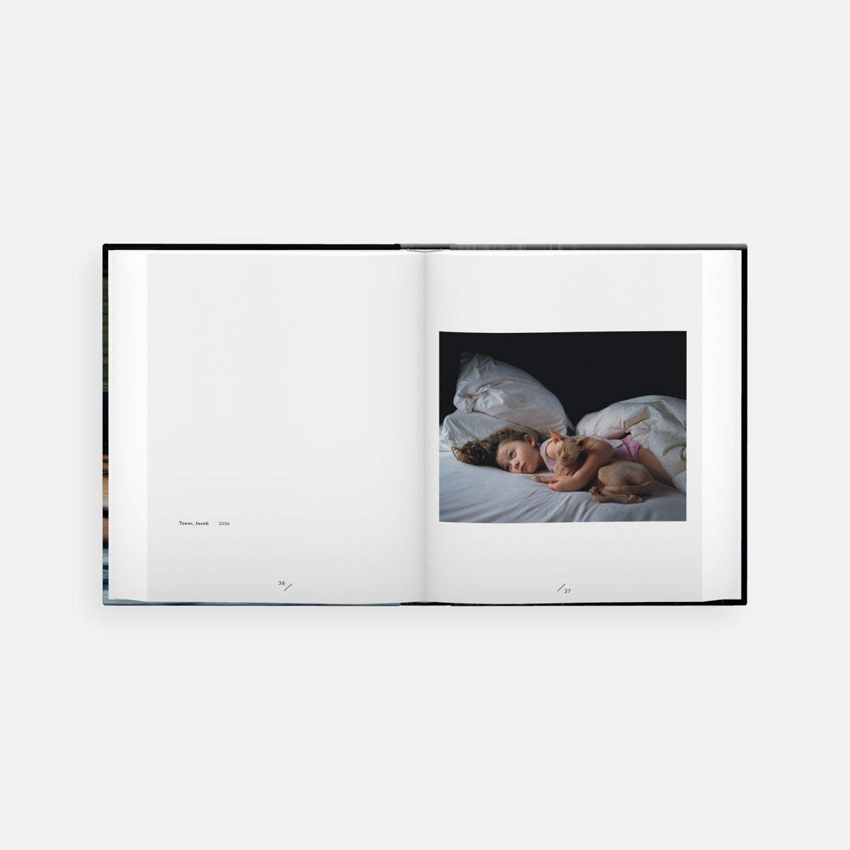 Robin Schwartz: Amelia and the Animals (signed edition)
