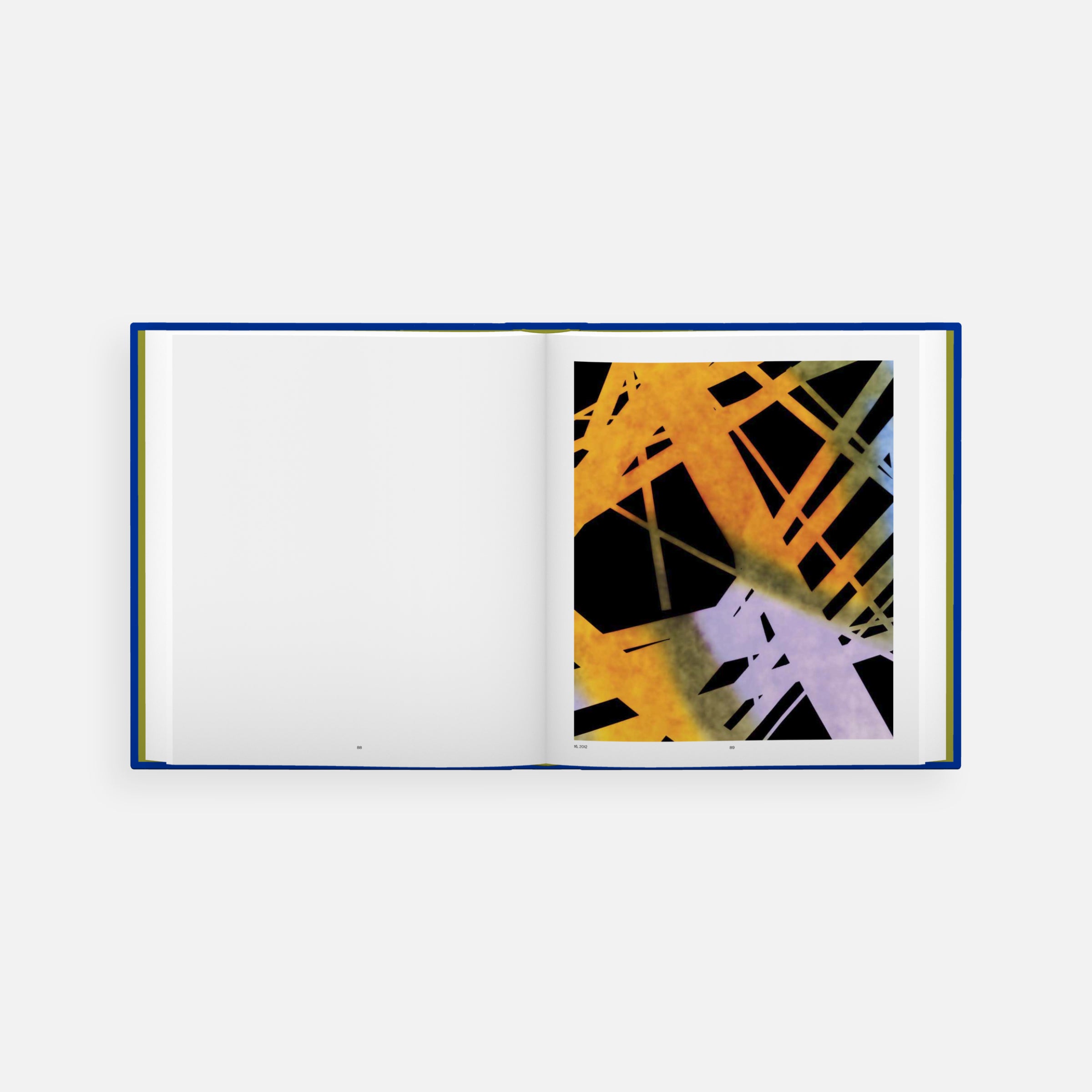 James Welling: Monograph