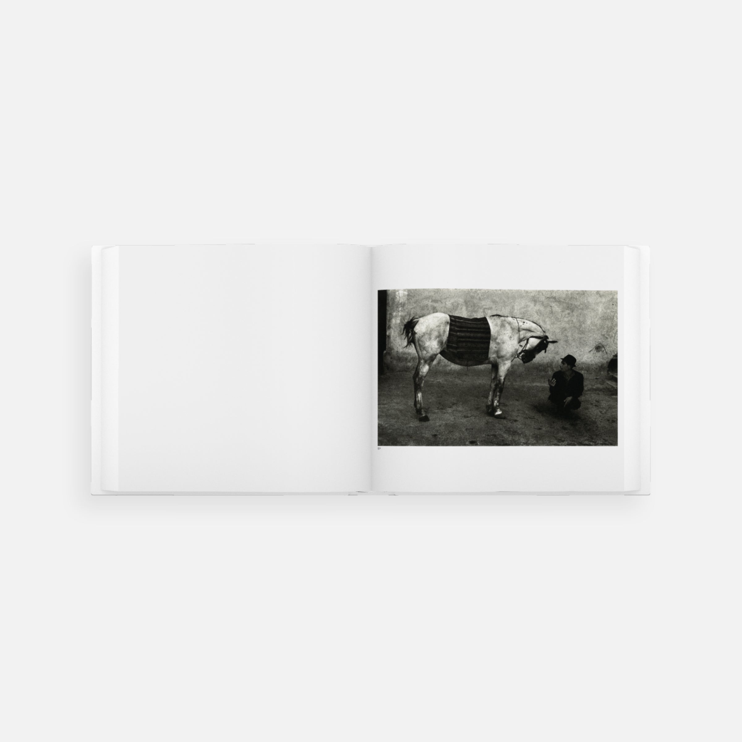 Josef Koudelka: Koudelka