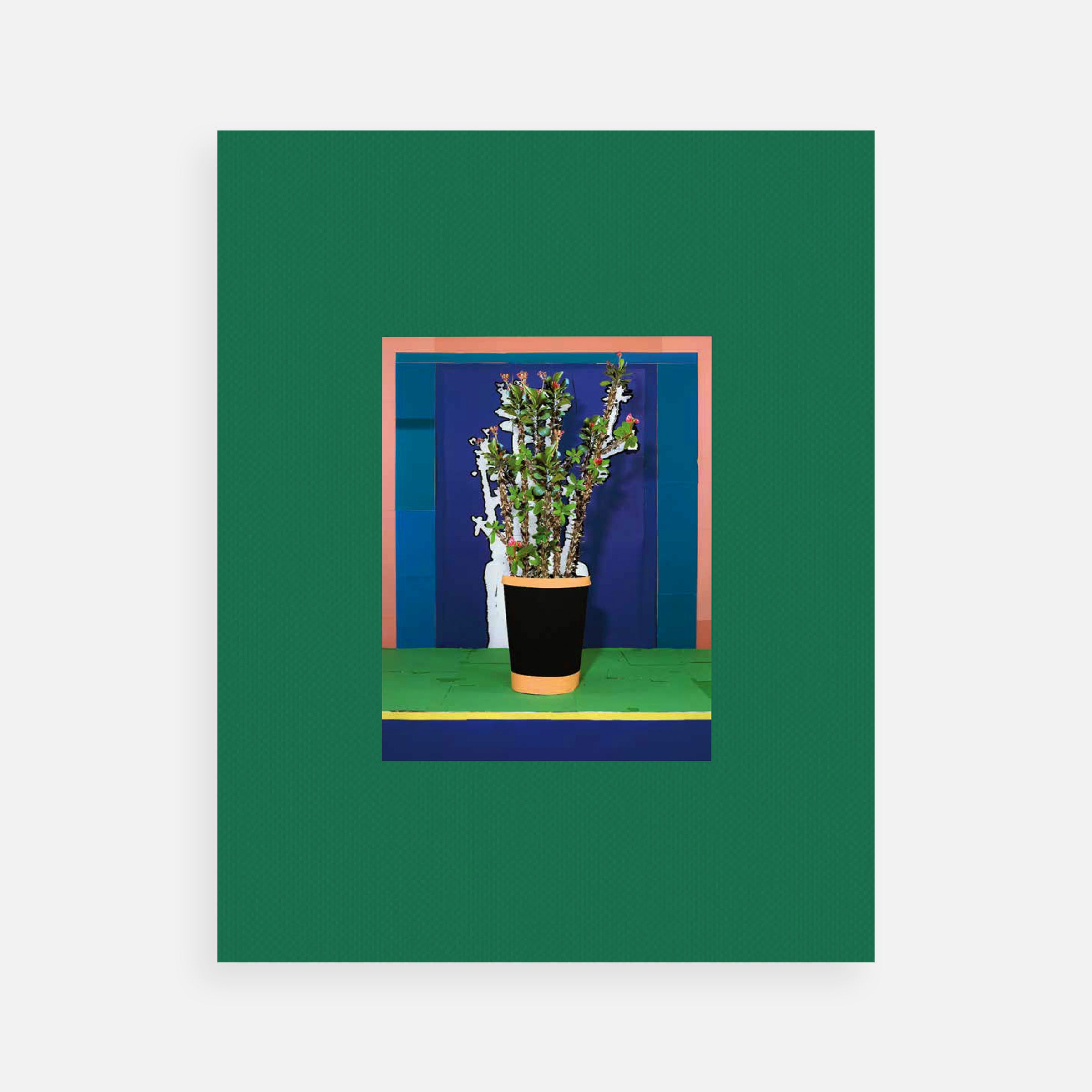 Daniel Gordon: Houseplants