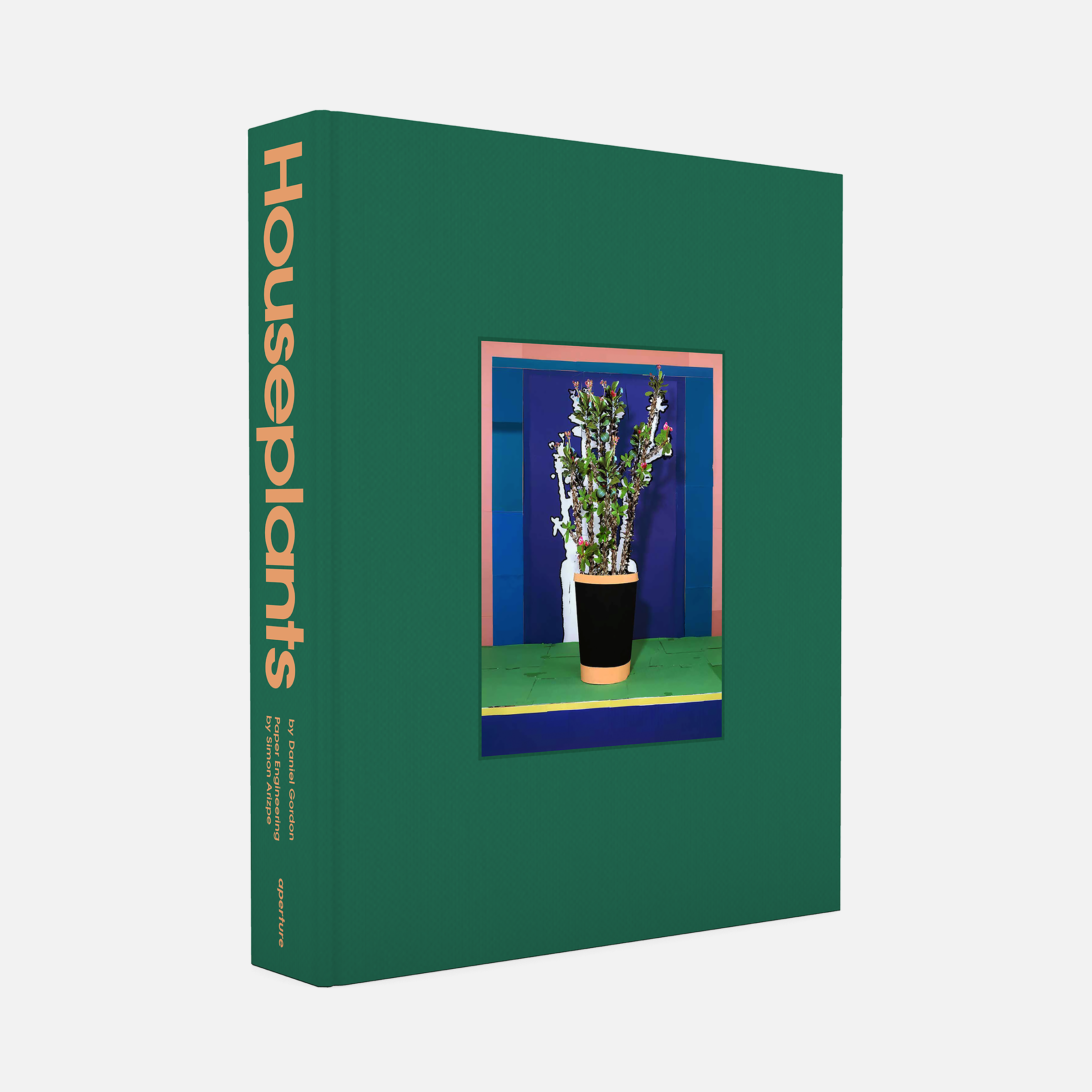 Daniel Gordon: Houseplants