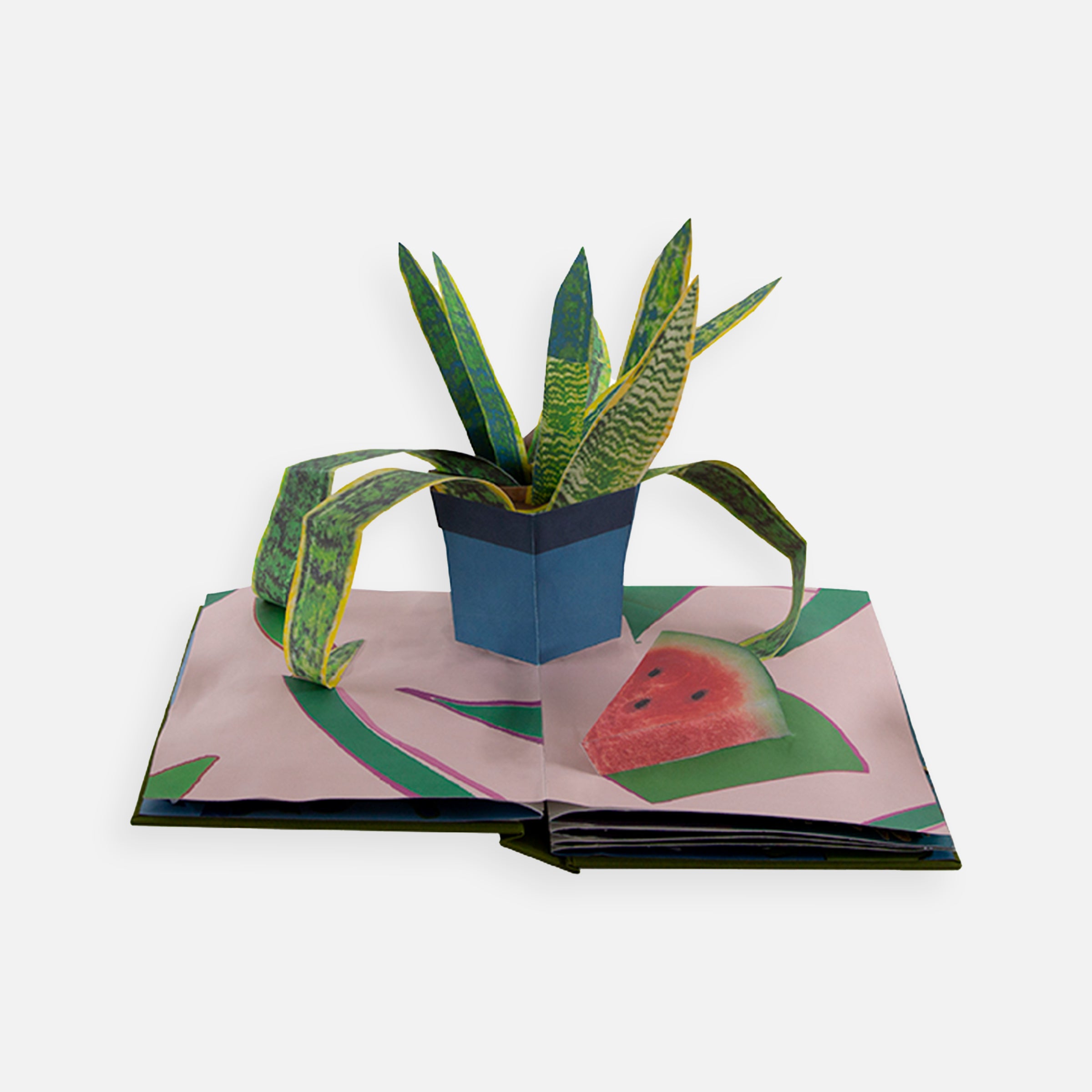 Daniel Gordon: Houseplants