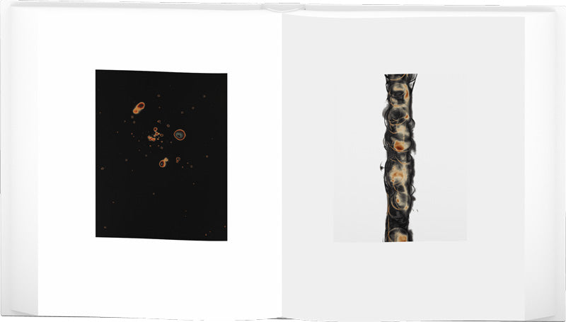 Marco Breuer: Early Recordings