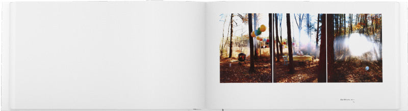 David Hilliard: Photographs