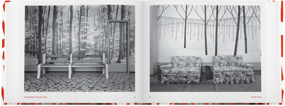 Lynne Cohen: Occupied Territory