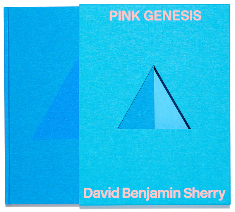 David Benjamin Sherry: Pink Genesis