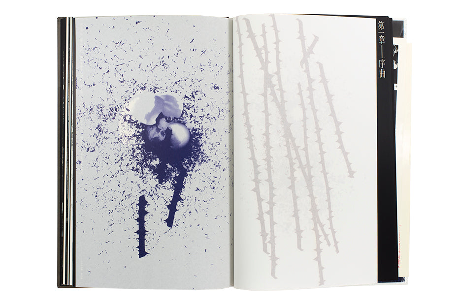 Eikoh Hosoe: Barakei