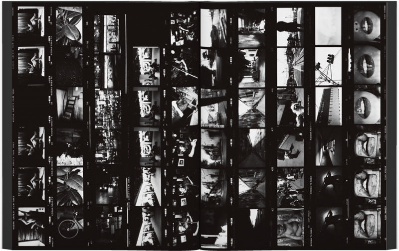 Labyrinth: Daido Moriyama