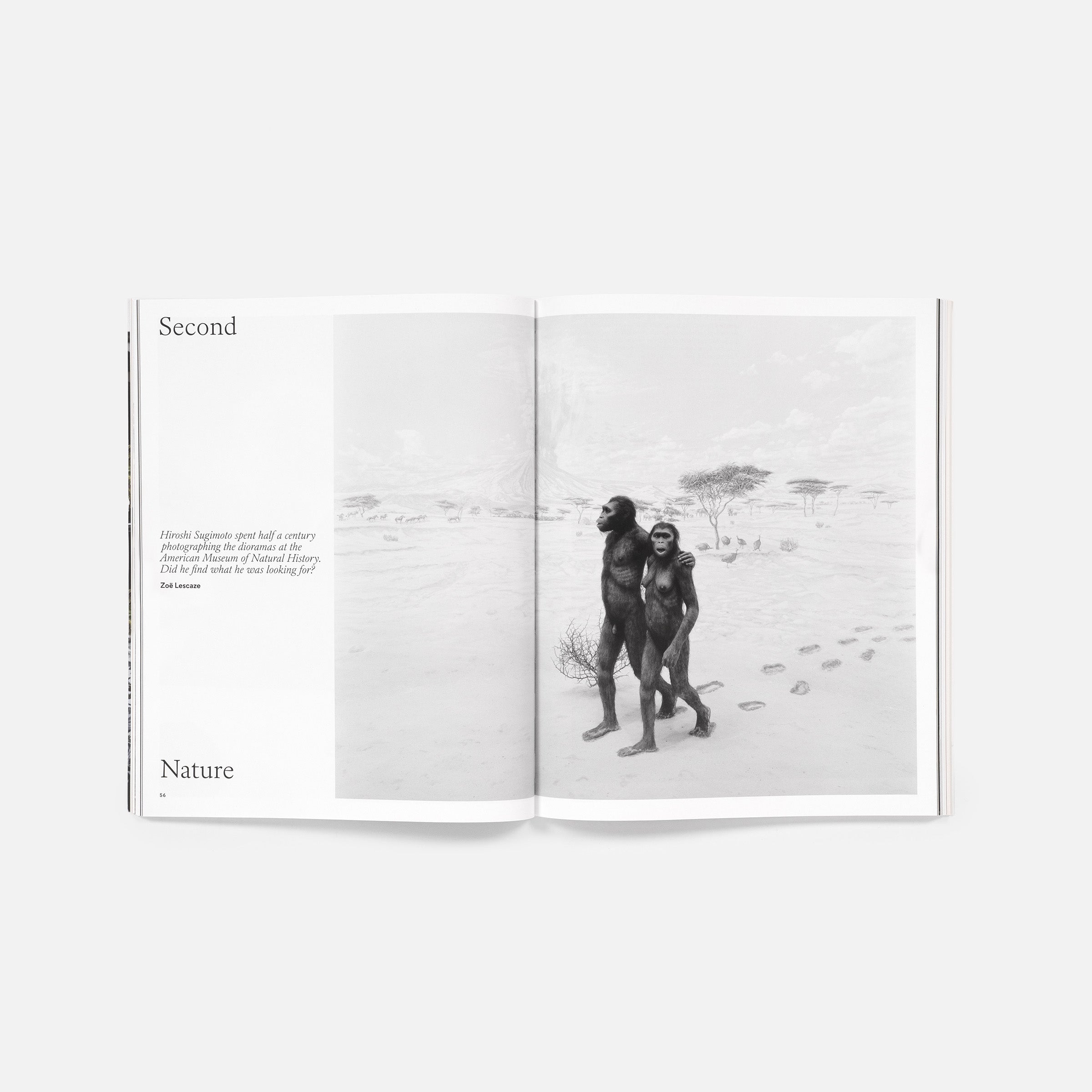 Stop Time, guest edited by Hiroshi Sugimoto: Aperture No. 264, Fall 2026