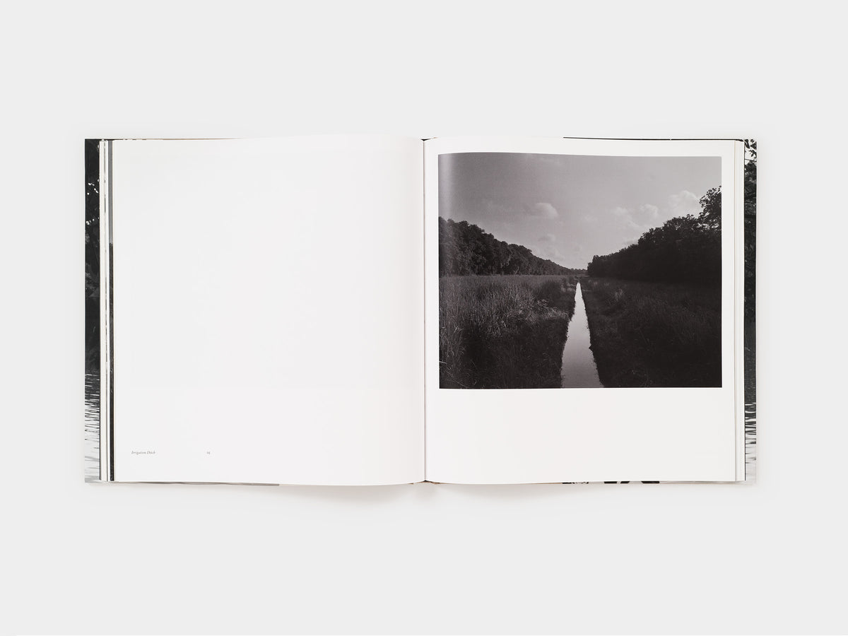 Dawoud Bey: Elegy (signed edition)