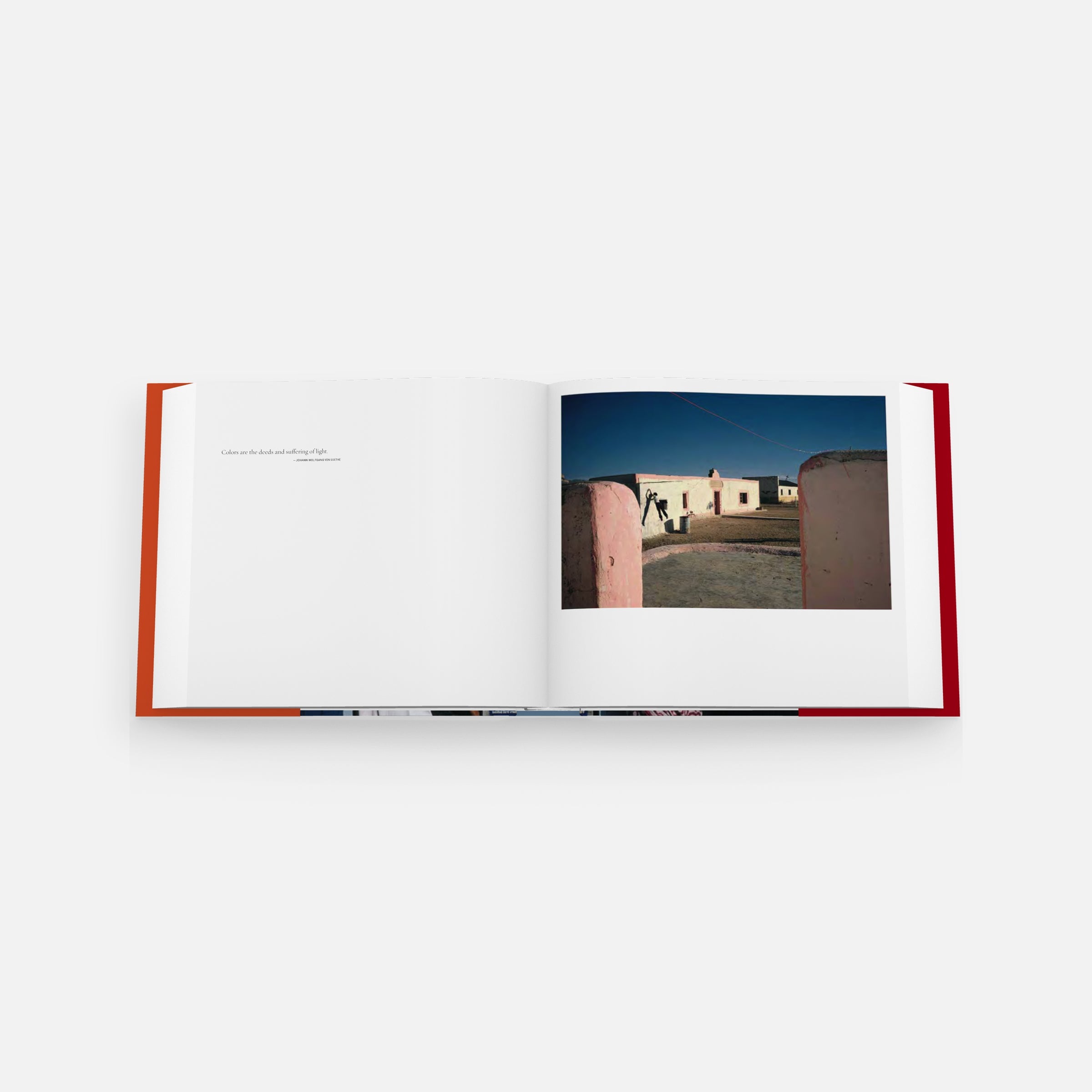 Alex Webb: The Suffering of Light