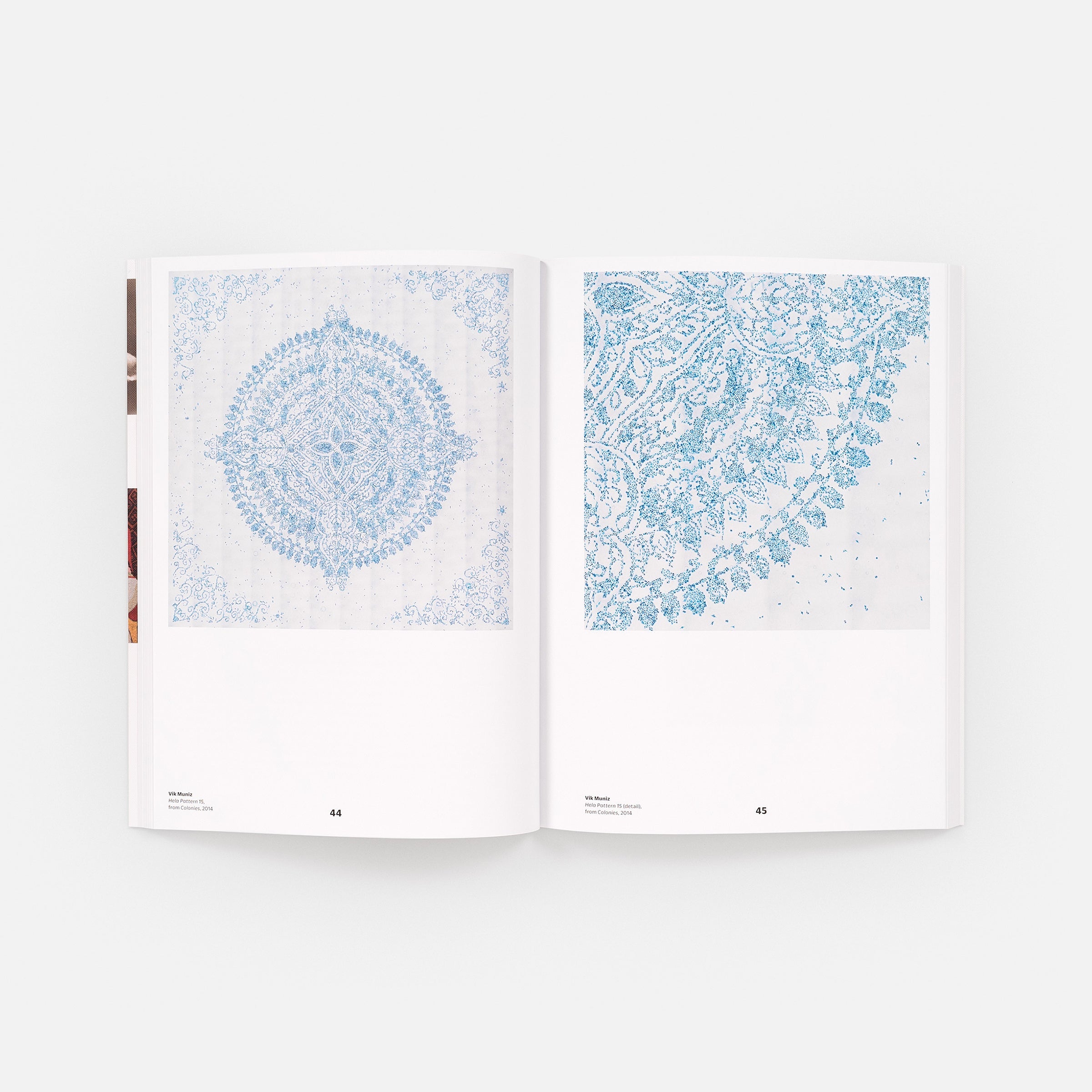 Vik Muniz on Photography, Mind, and Matter