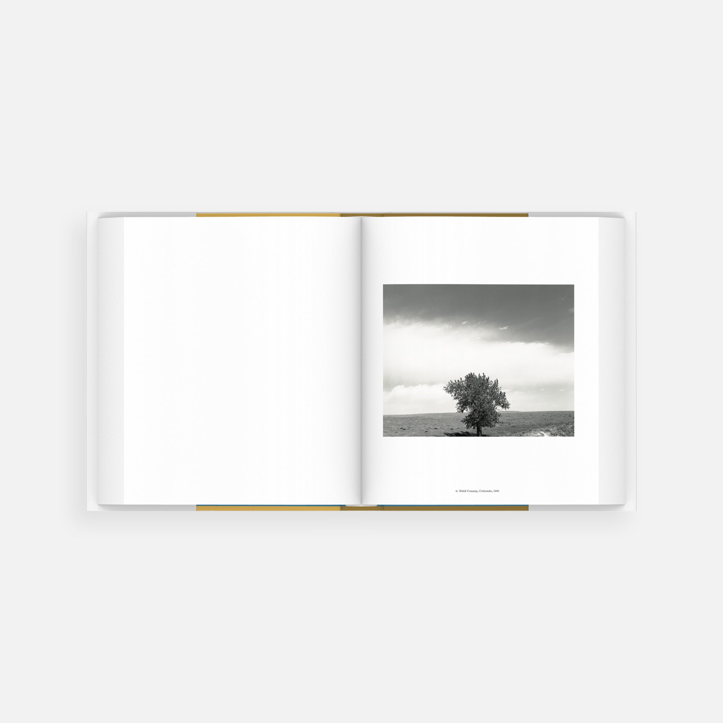 American Silence: The Photographs of Robert Adams