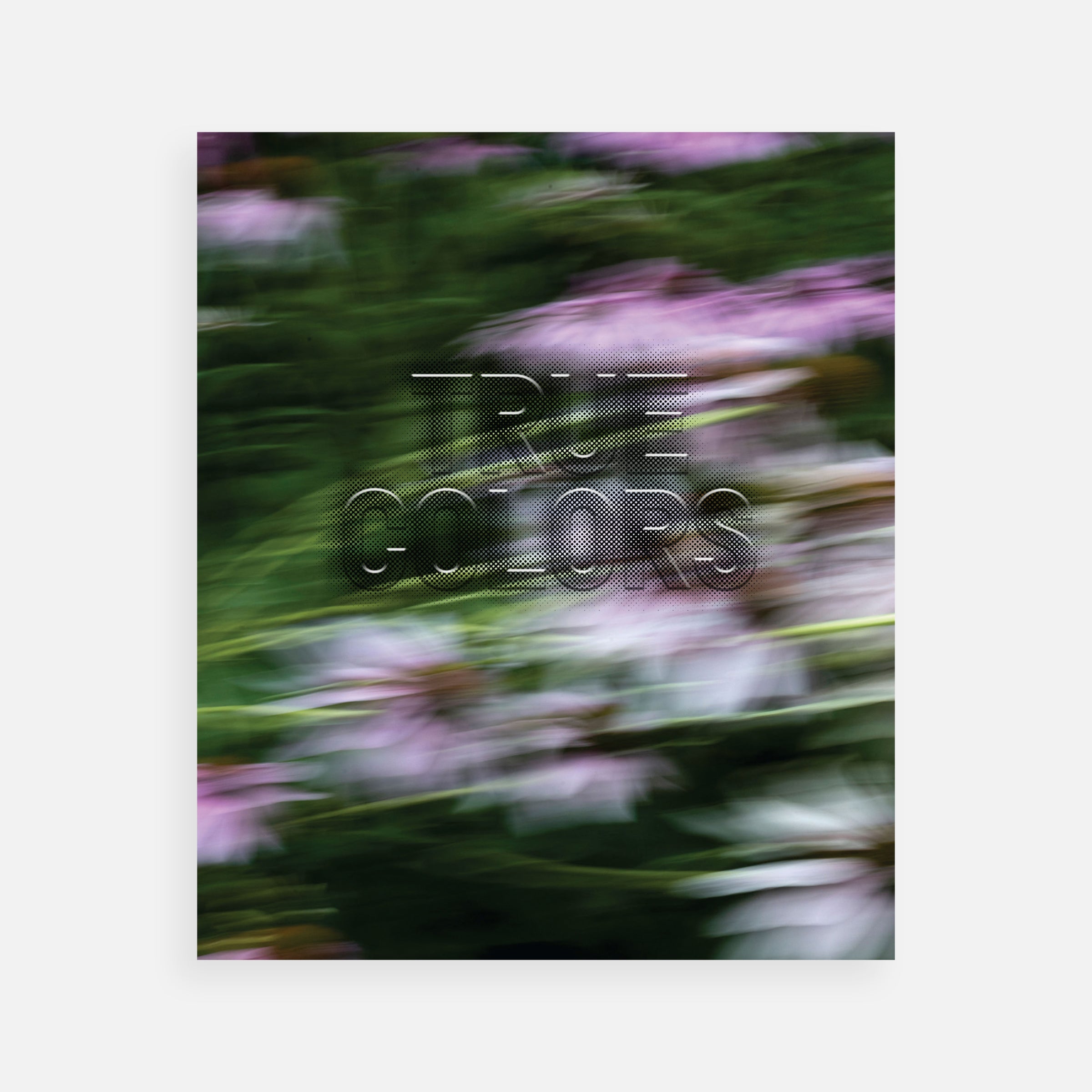 Zora J Murff: True Colors (or, Affirmations in a Crisis)