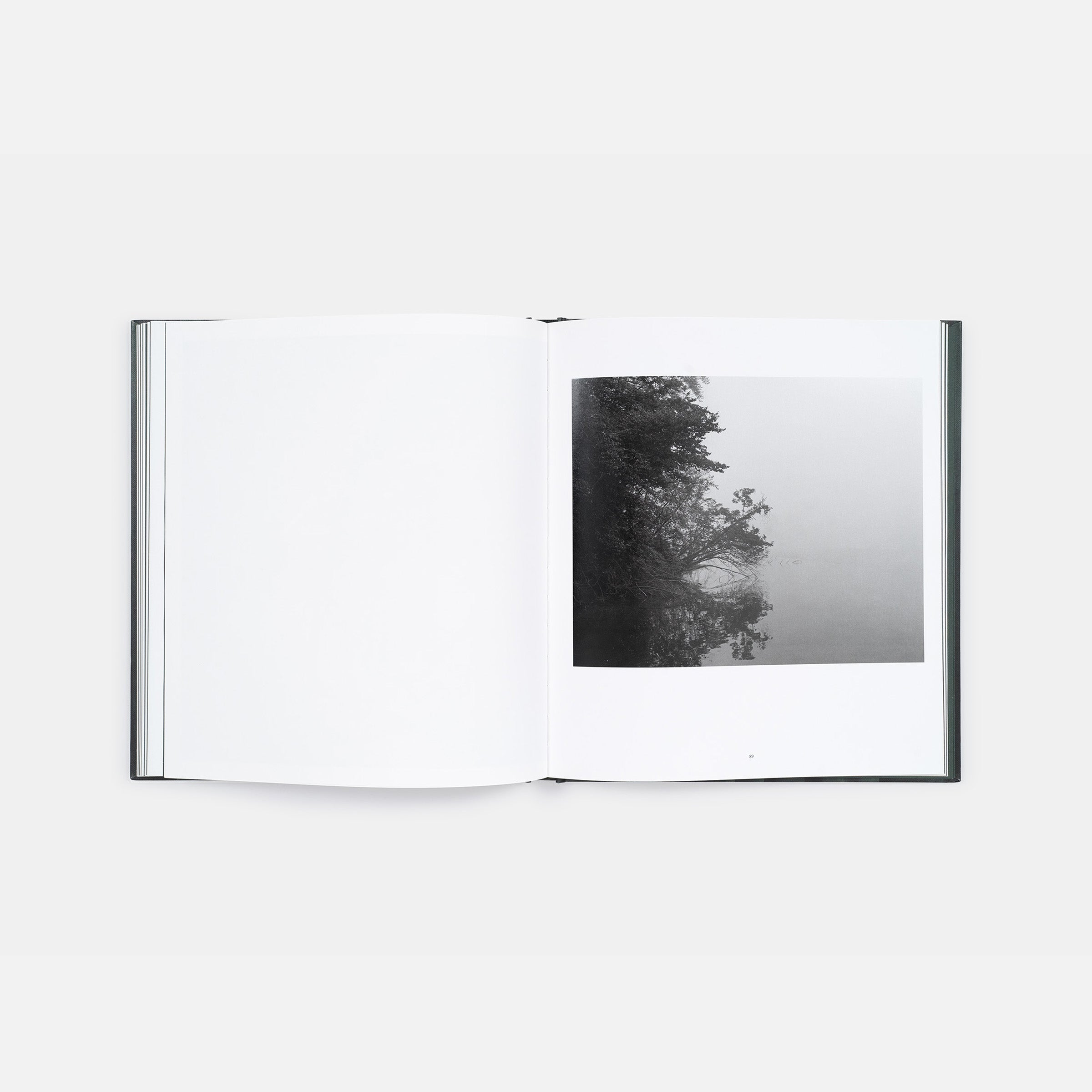 Kristine Potter: Dark Waters